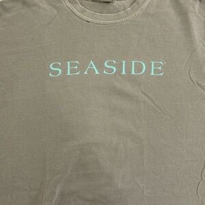 Comfort Colors Seaside Graphic Tee in Gray